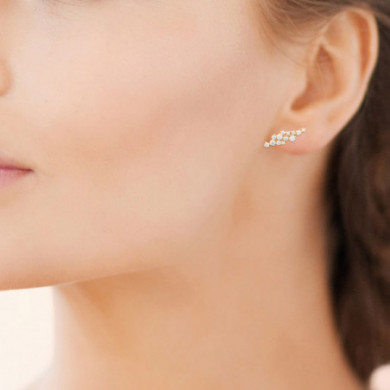 Boucles d’oreilles or puces et oxydes de zirconium Influences